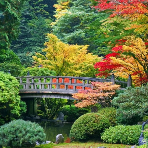 Meet your Posher - Picture 1 of 1